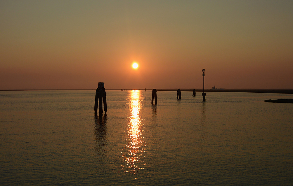DSC_0154-r